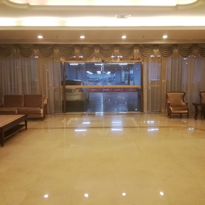 维也纳装置德国多玛自动门项目