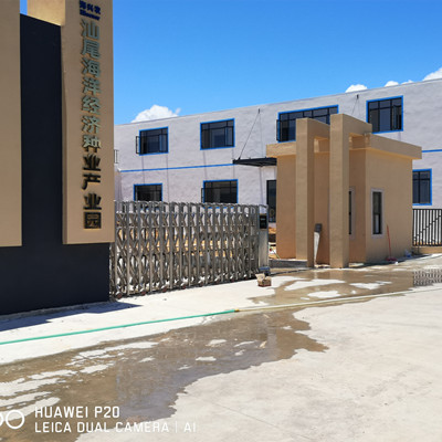 汕尾海洋经济工业园装置维修电动伸缩门